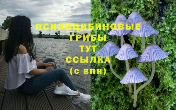 COCAINE Надым