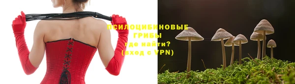дмт Армянск