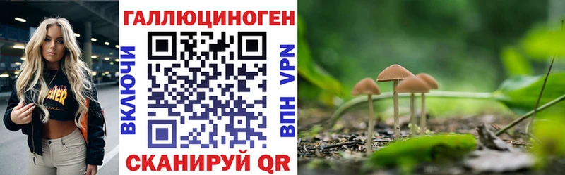 Галлюциногенные грибы GOLDEN TEACHER  купить   Тарко-Сале 